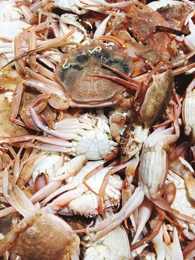 Full frame shot of shell fish of crabs for sale