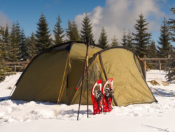 Camping during winter hiking in mountains. green touristic tent under spruces.