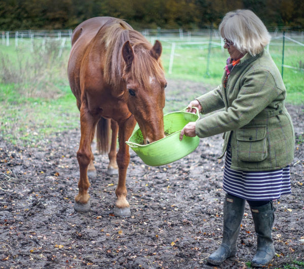 Full length of woman feeding horse on field