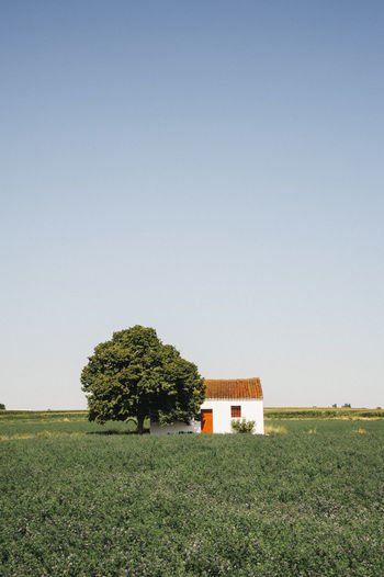 House by tree against sky