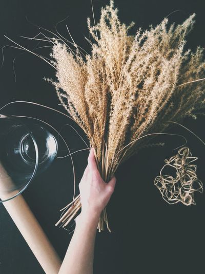 Close-up of hand holding wheat over table