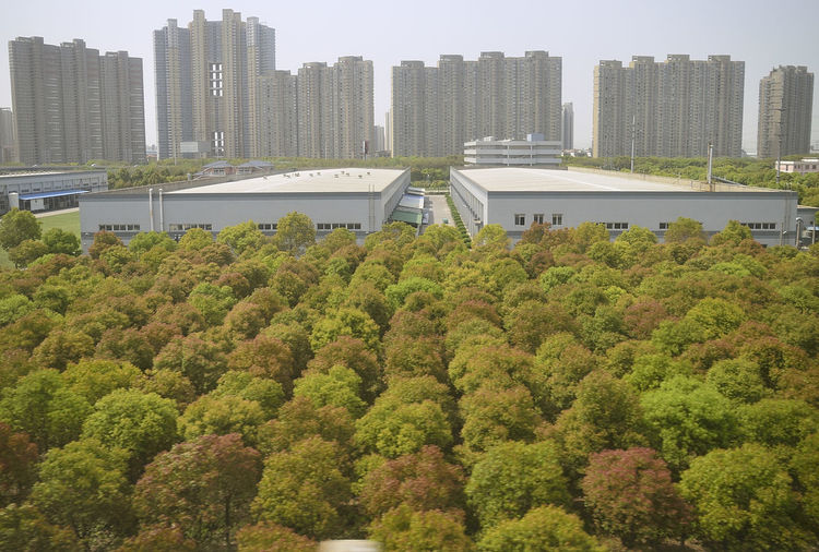 View of trees in front of office buildings