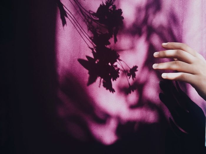Close-up of woman hand holding purple flower