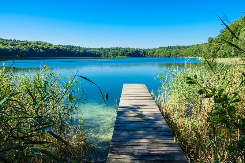 Jetty over lake in summer
