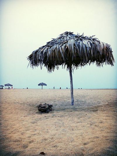 Palm trees on beach against clear sky