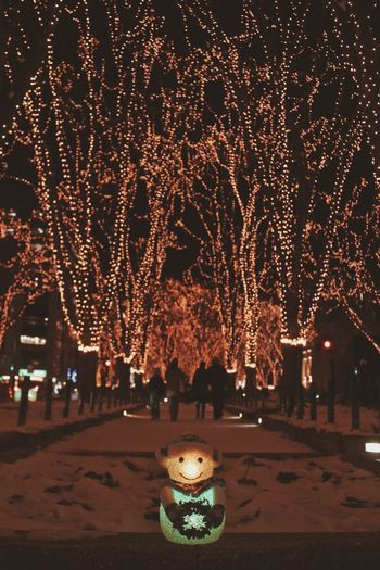Illuminated christmas tree at night