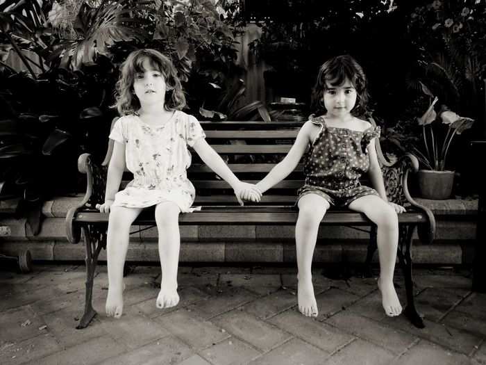 Portrait of cute siblings holding hands while sitting on bench