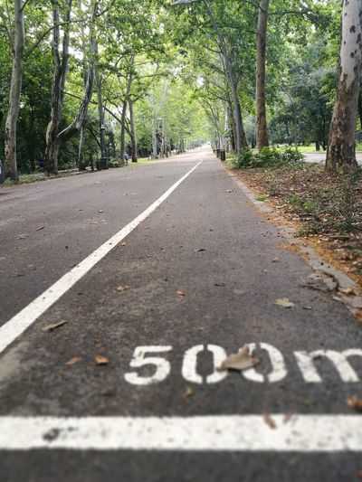 Text on road by trees in forest
