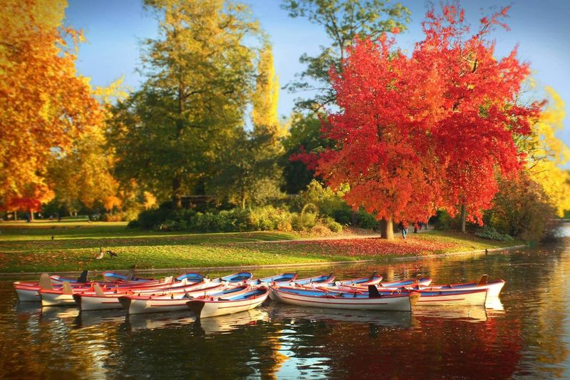 View of boats in autumn trees