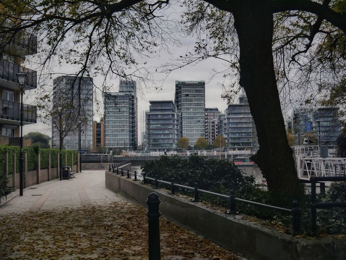 Park by buildings against sky in city