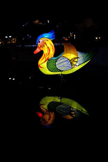 High angle view of illuminated lantern by water at night