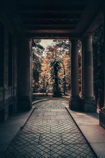 Corridor of building
