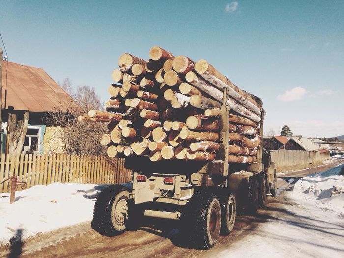 Logging truck pulling fresh cut log