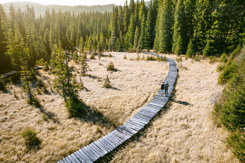 Couple walking on wooden path in peat bog