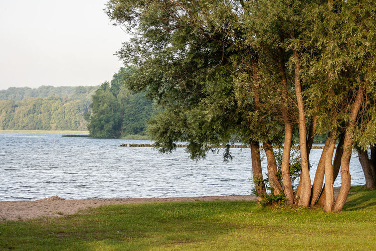 Scenic view of lake against clear sky