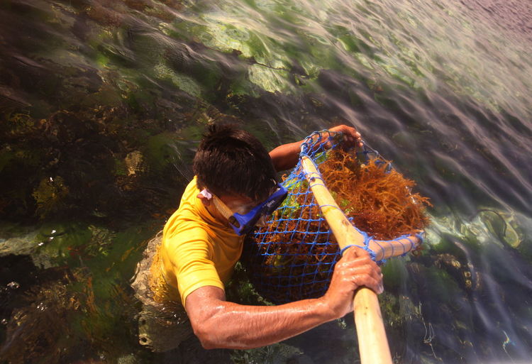 Man holding fishing net with coral in sea