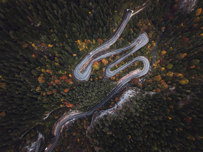High angle view of autumn tree by road