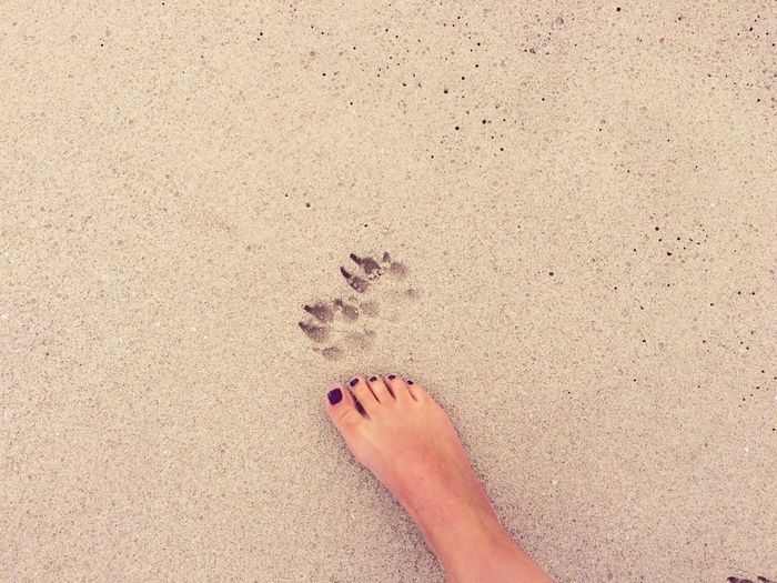 Low section of woman on sand at beach