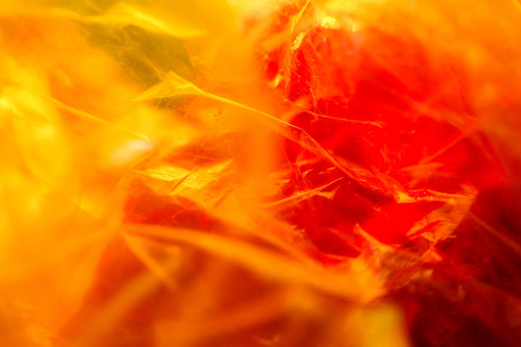 Detail shot of orange leaf