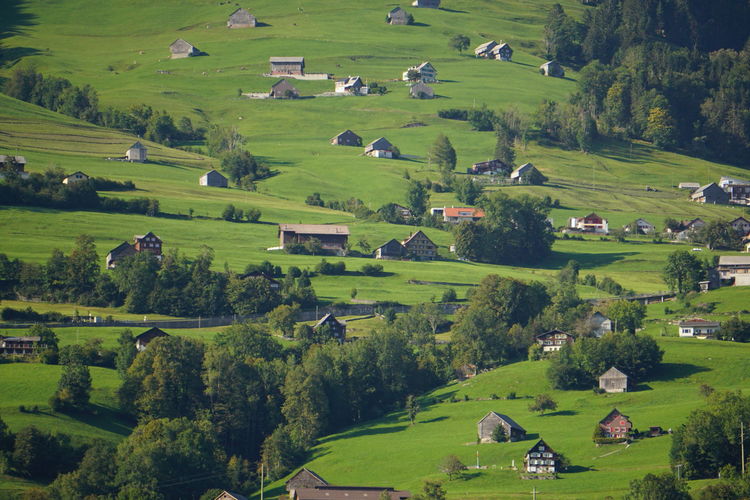 Scenic view of agricultural field and houses